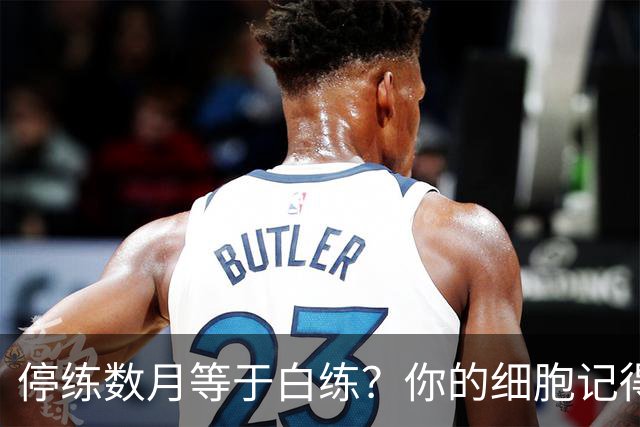 停练数月等于白练？你的细胞记得每一次流汗