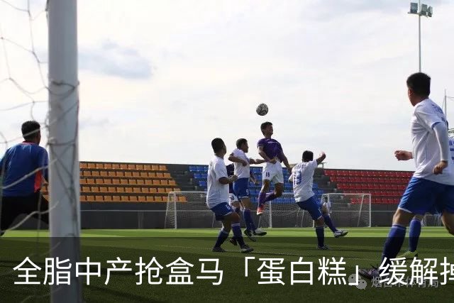 全脂中产抢盒马「蛋白糕」缓解掉肌肉焦虑？堪比连吃10个鸡蛋、一口噎得翻白眼
