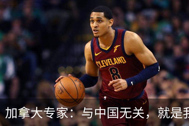 加拿大专家：与中国无关，就是我们干的