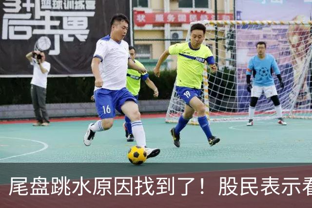 尾盘跳水原因找到了！股民表示看不懂，三季报出炉机构还是重仓科技