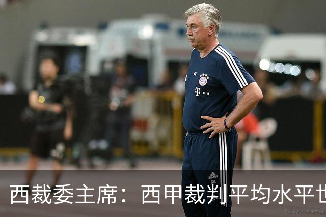 西裁委主席：西甲裁判平均水平世界最佳，误判难免