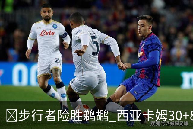 🏀步行者险胜鹈鹕 西亚卡姆30+8 哈利回归23+12 锡安22分